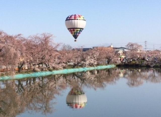 臥竜公園 さくらまつり熱気球体験