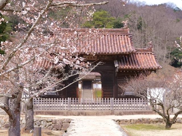 【花・見ごろ】旧閑谷学校の椿・梅