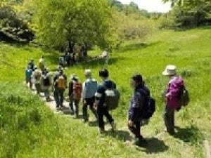 小山田緑地「春の自然ガイドウォーク」