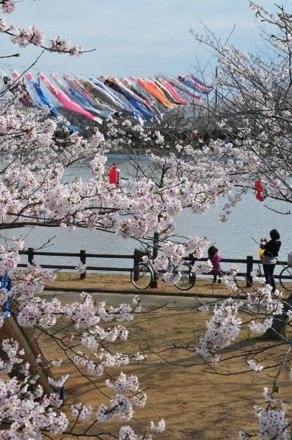 袋公園桜まつり