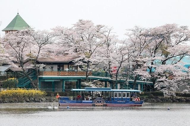 【桜・見ごろ】那須りんどう湖レイクビュー