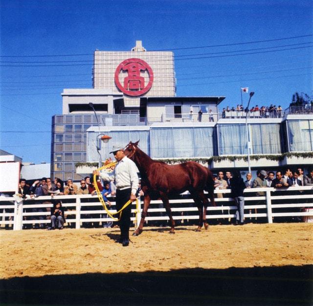 玉川高島屋S･C開業50周年記念「二子玉川50年の歩み」