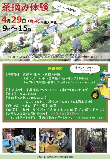 茶摘み体験（しらいし時間割）