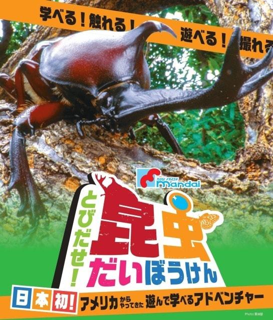 マンダイプレゼンツ　とびだせ！昆虫だいぼうけん