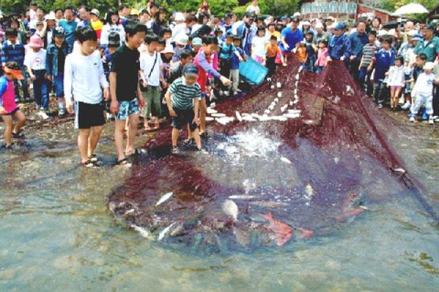 牟岐アワビまつり