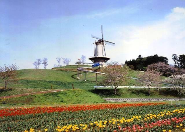 長沼フートピア公園の桜&チューリップの鑑賞