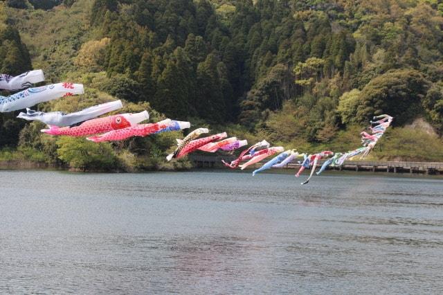 小中池公園　鯉のぼりまつり
