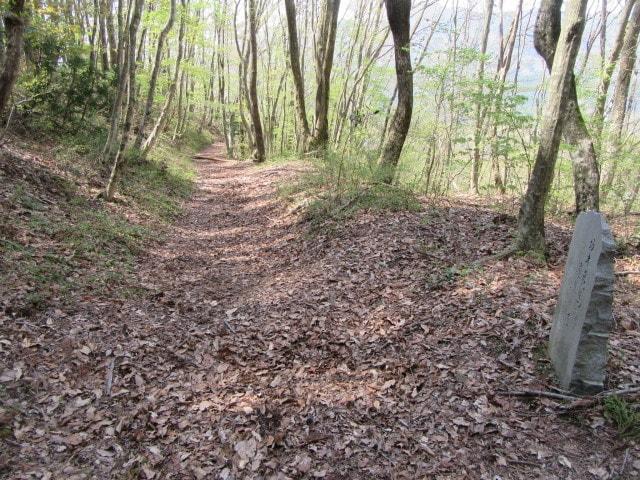 第31回わらじで歩こう坂本龍馬脱藩の道