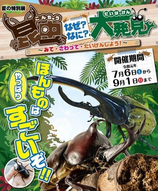 特別展「昆虫なぜ？なに？大発見～みて・さわって・たいけんしよう！～」