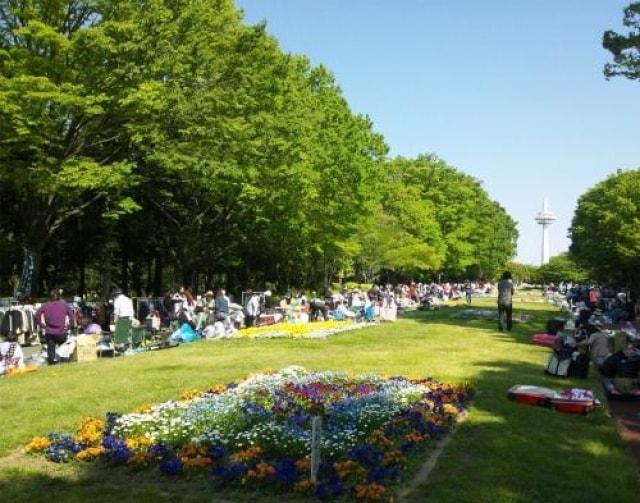 所沢市「所沢航空記念公園」フリーマーケット（6月）