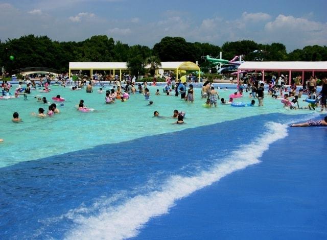 【プール】国営昭和記念公園　レインボープール