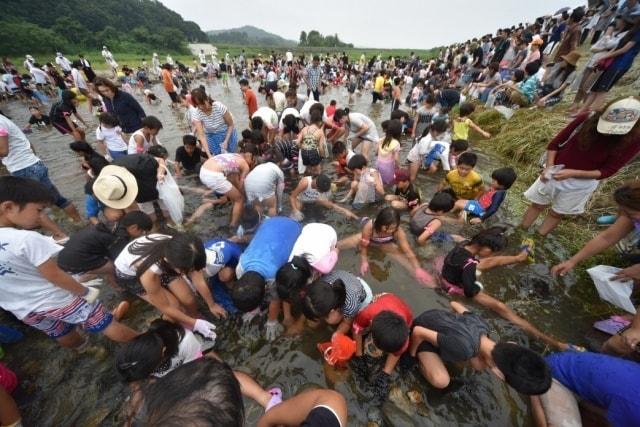 鮎とマスのつかみ取り