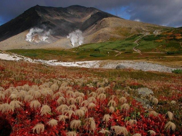【紅葉・見ごろ】北海道大雪山系　旭岳