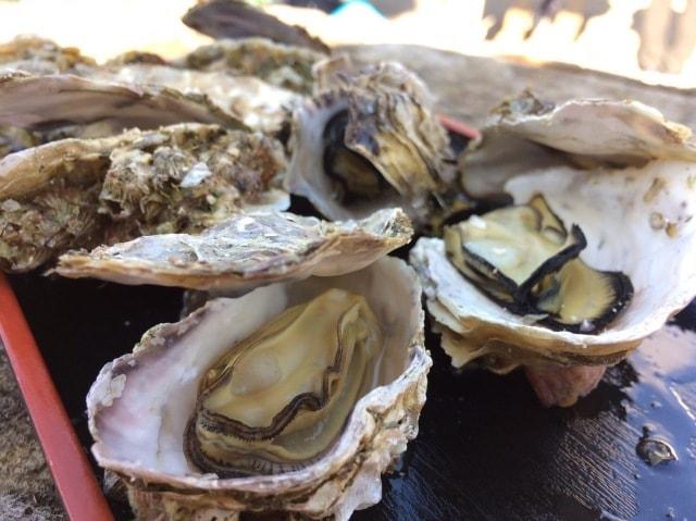 宮島かき祭り