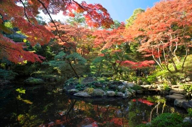 【紅葉・見ごろ】殿ヶ谷戸庭園