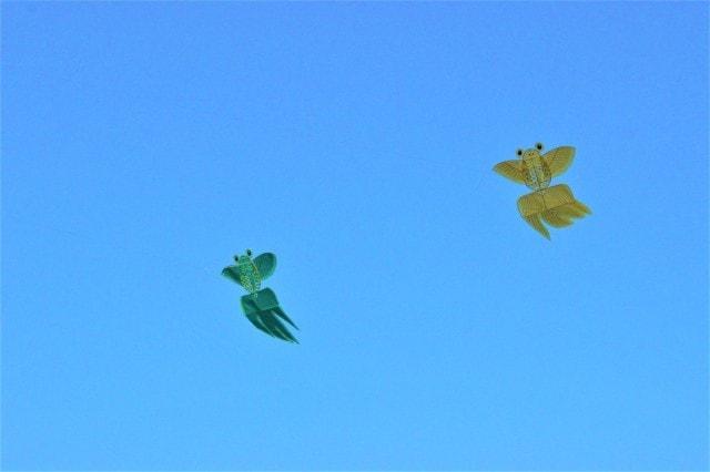 リトルワールド「世界のお正月」