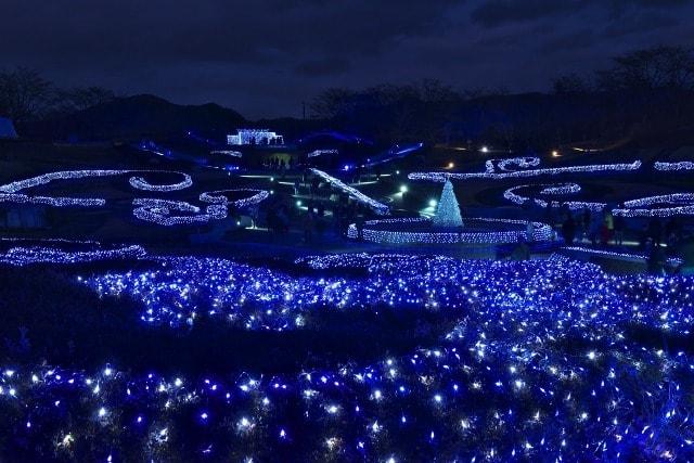 冬のイルミネーション in みちのく公園