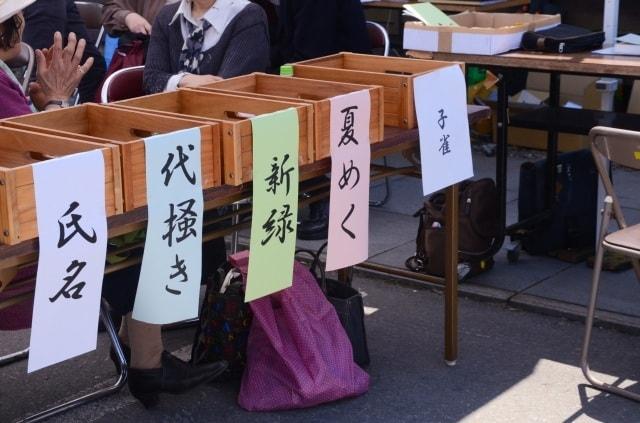 第37回一茶まつり＜中止となりました＞