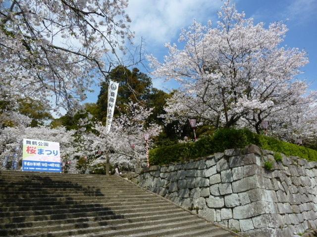 高鍋城址桜まつり2020　桜と人と暮らふと＜中止となりました＞