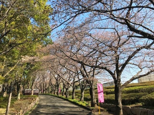 上尾さくらまつり＜中止となりました＞