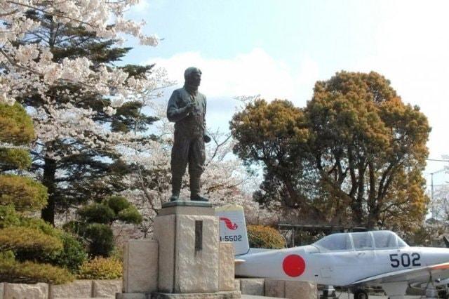 【桜・見ごろ】知覧平和公園