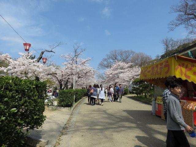 丸亀城桜まつり＜中止となりました＞
