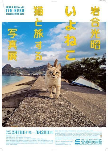 岩合光昭　いよねこ　猫と旅する写真展