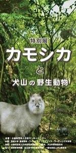 特別展「カモシカと犬山の野生動物」