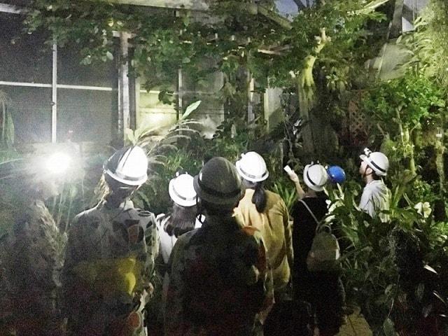 夜の植物園　ナイトツアー