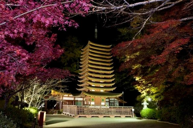 談山神社ライトアップ