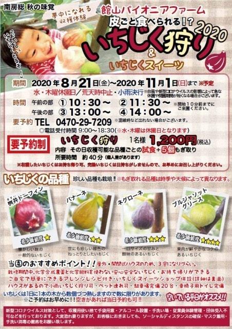 館山パイオニアファーム　いちじく狩り
