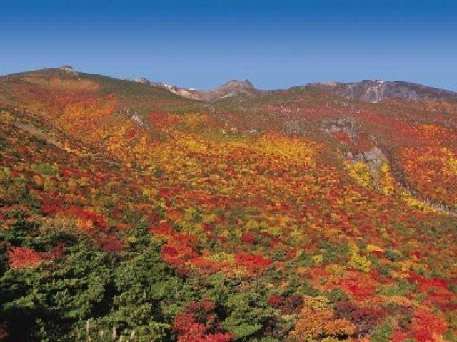 【紅葉・見ごろ】安達太良山