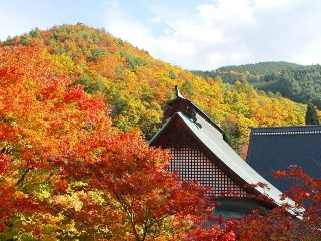 【紅葉・見ごろ】霊松寺