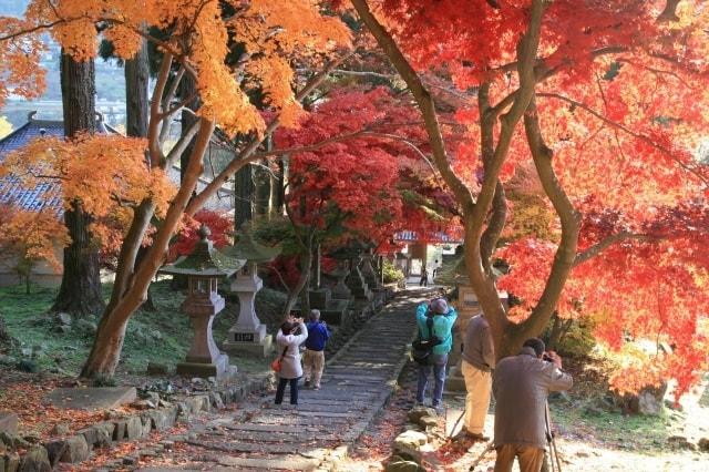 【紅葉・見ごろ】阿弥陀山清水寺