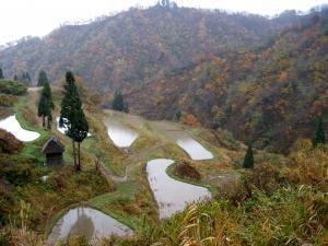 【紅葉・見ごろ】宝渓谷
