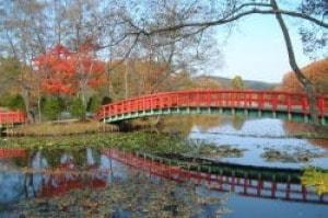 【紅葉・見ごろ】八郎沼公園