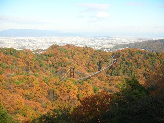 【紅葉・見ごろ】ほしだ園地