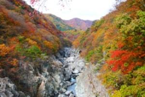 【紅葉・見ごろ】龍王峡
