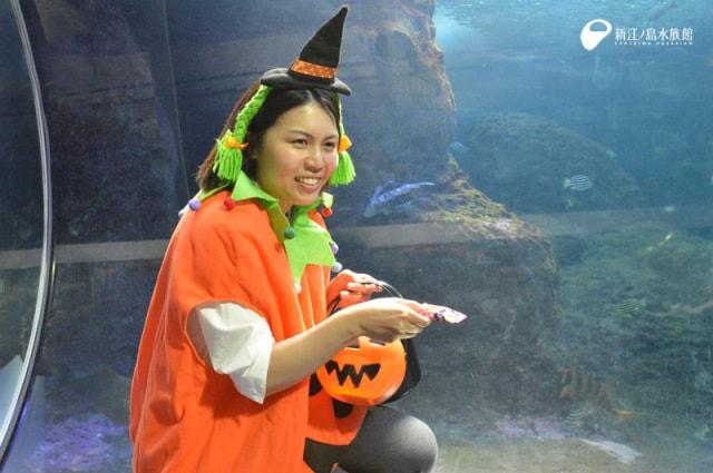 トリック・オア・トリート！（神奈川県）の観光イベント情報｜ゆこゆこ