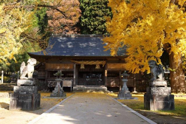【紅葉・見ごろ】福田神社
