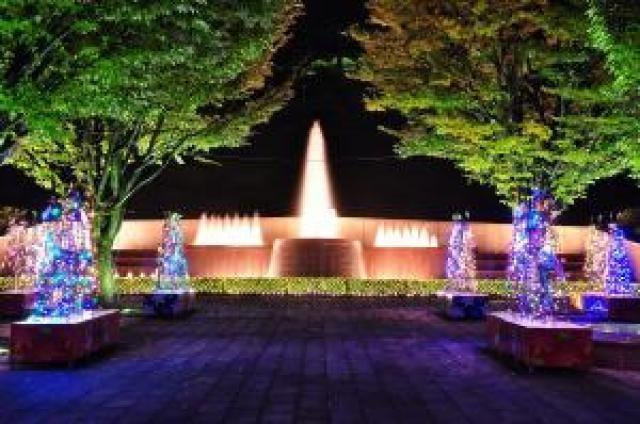 西山公園イルミネーション　～光でつなぐ家族の絆～