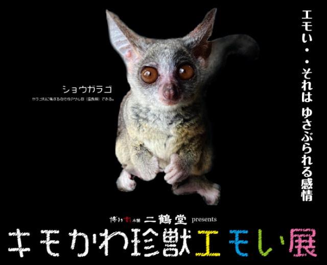 キモかわ珍獣エモい展