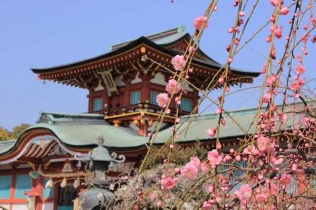 防府天満宮梅まつり