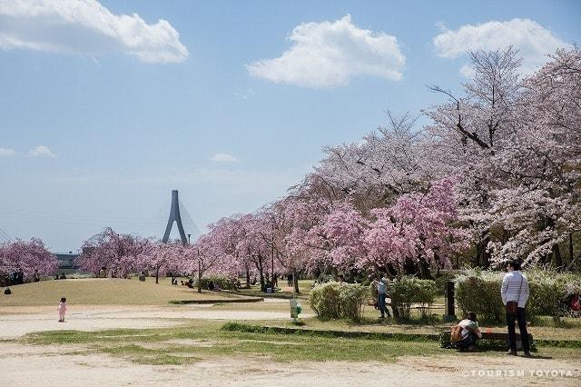 水源桜まつり＜中止となりました＞