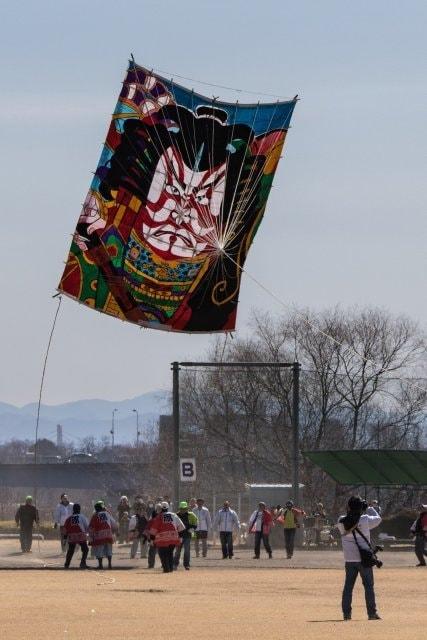 第29回 上州空っ風凧揚げ大会 in 前橋＜中止となりました＞