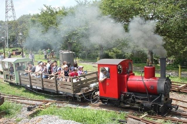 本物のSL（蒸気機関車）運行（5月）