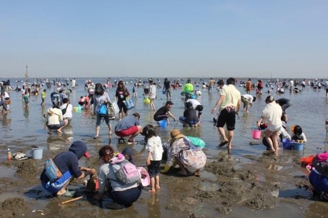 富津海岸潮干狩り場