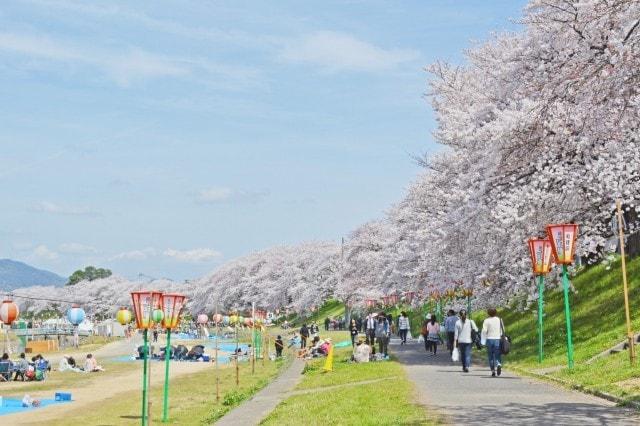 2021　岡山さくらカーニバル＜中止となりました＞
