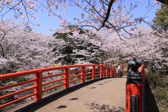 水郷おみがわ桜つつじまつり