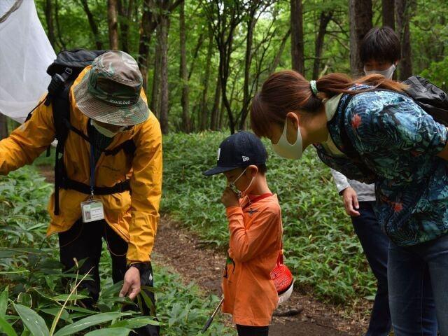 すすめ！ムシムシたんけん隊
